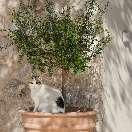 Olithos 1 Apartament *